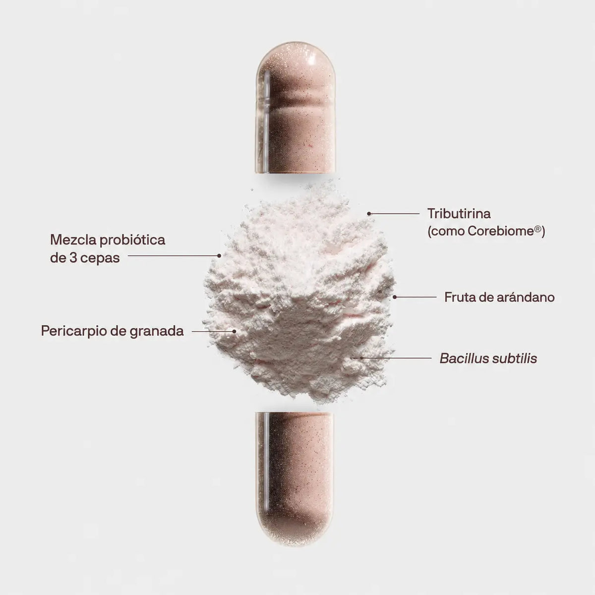 Daily Tribiotic™ – Soporte 3 en 1 para la Salud Digestiva