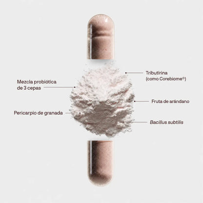Daily Tribiotic™ – Soporte 3 en 1 para la Salud Digestiva